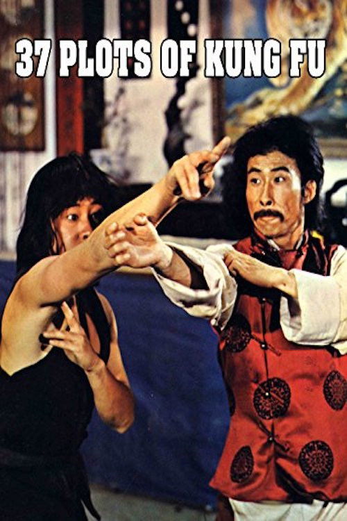 Qin long san shi qi ji (1979) poster
