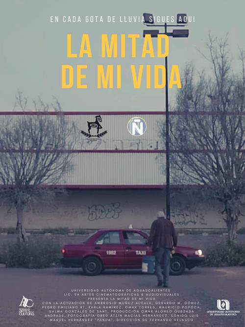 La Mitad De Mi Vida (2018) poster