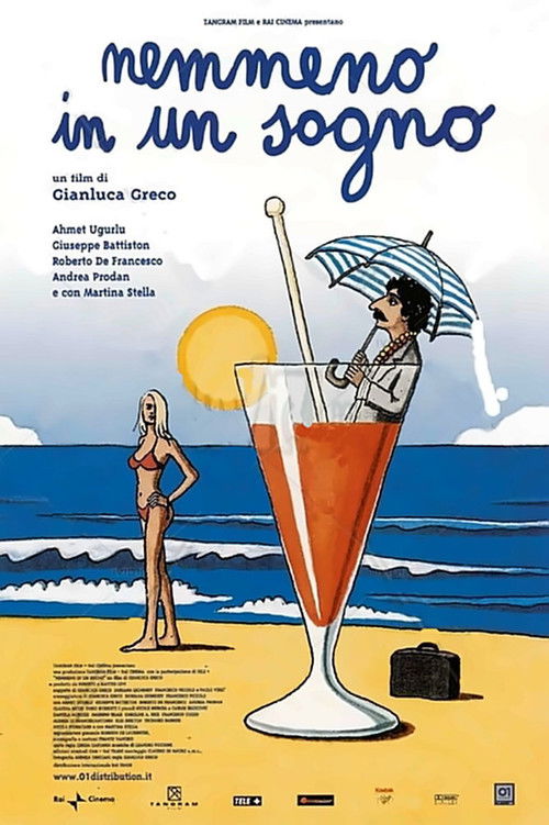 Nemmeno in un sogno (2002) poster