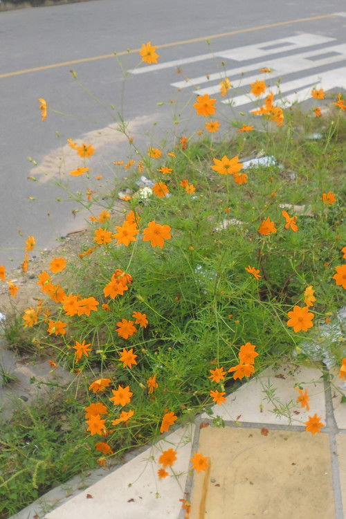 Memory (2023) poster