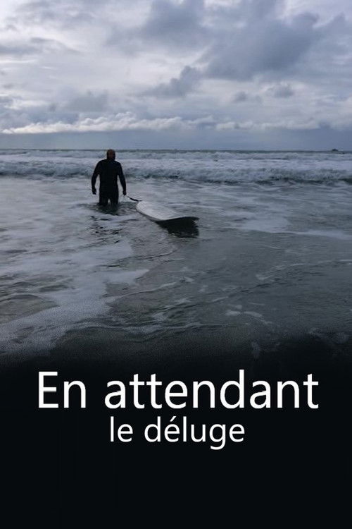 En attendant le déluge (2015) poster