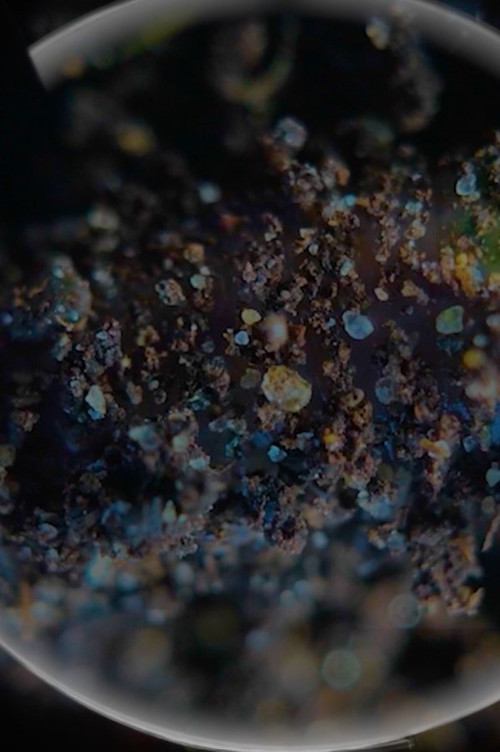 Sentient Beings (2022) poster