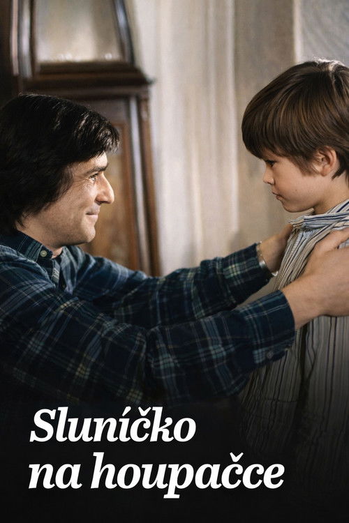 Sluníčko na houpačce (1981) poster