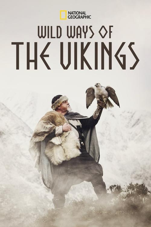 Wild Ways of the Vikings (2019) poster