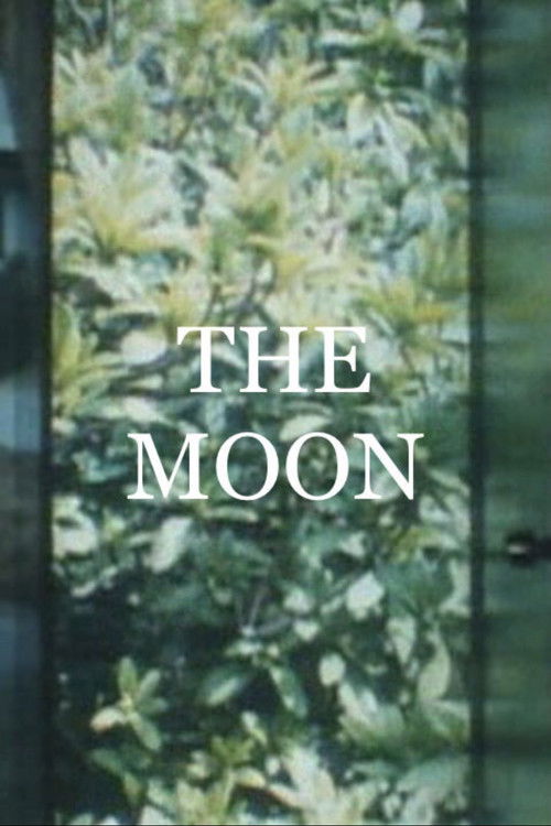 The Moon (1994) poster