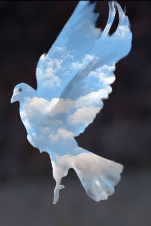 Daybreak (2017) poster