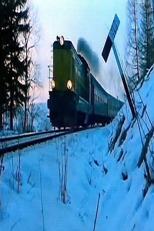 La Treizième Voiture (1993) poster