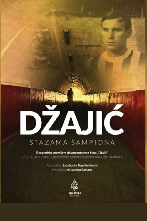 Dzajic (2017) poster