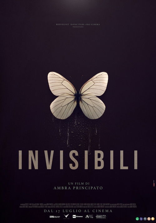 Invisibili (2025) poster