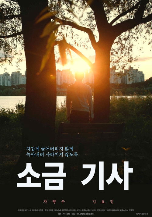 소금 기사 (2025) poster