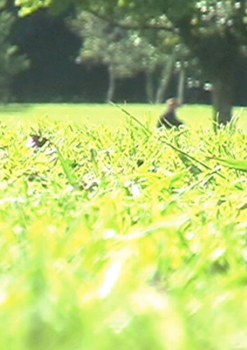 Body of Crime (2011) poster