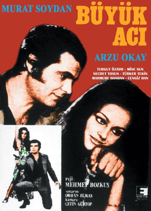 Büyük Acı (1971) poster