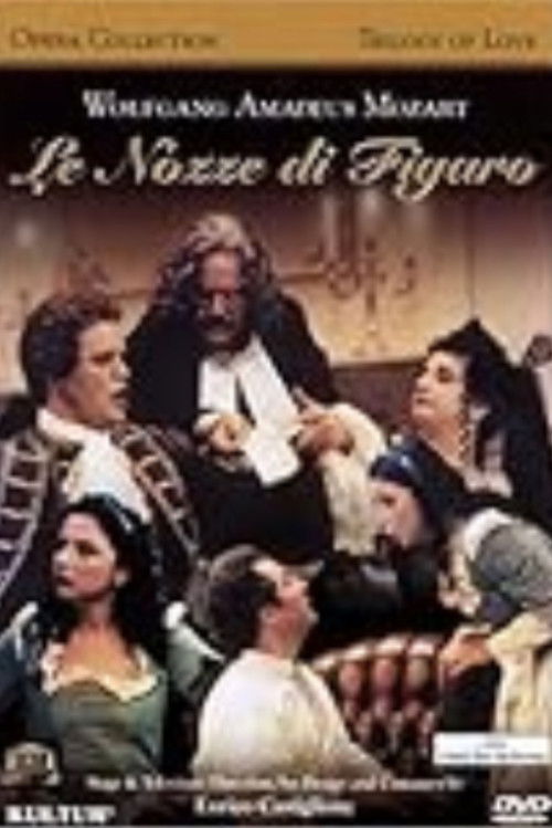 The Weddings of Figaro (2006) poster