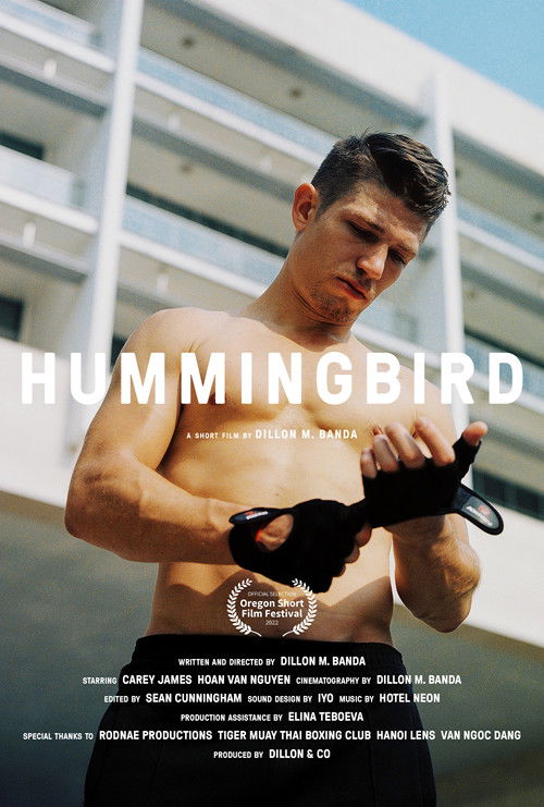 Hummingbird (2022) poster