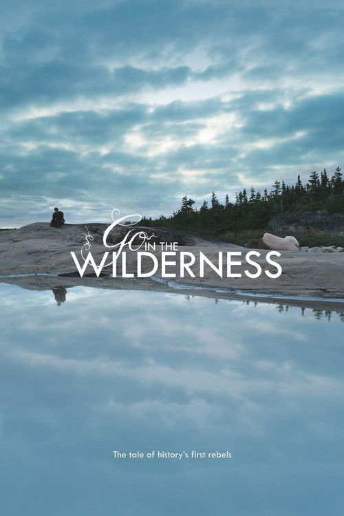 Go in the Wilderness (2013) poster