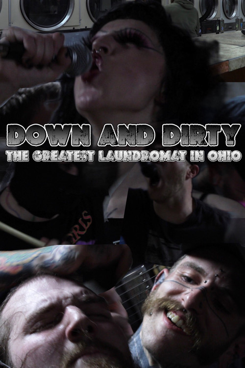 Down and Dirty: The Greatest Laundromat in Ohio (2023) poster
