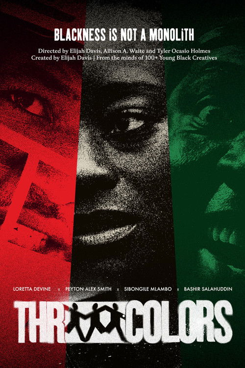 Three Colors: Pan-African (2026) poster