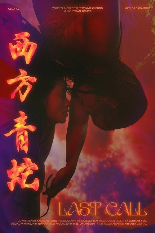 Last Call (2025) poster
