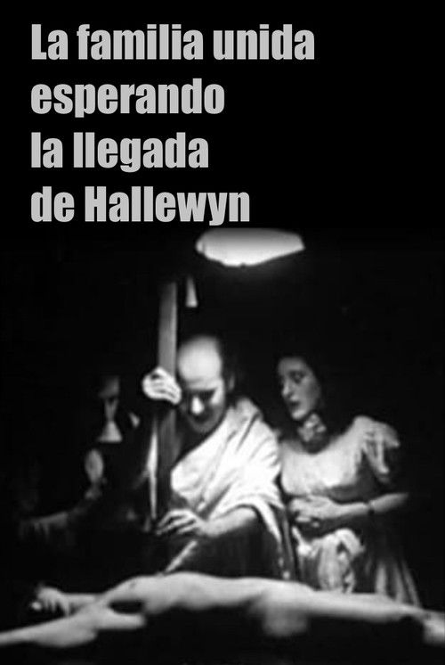 La familia unida esperando la llegada de Hallewyn (1971) poster