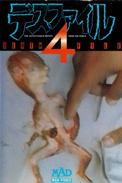 Death File 4 (1990) poster