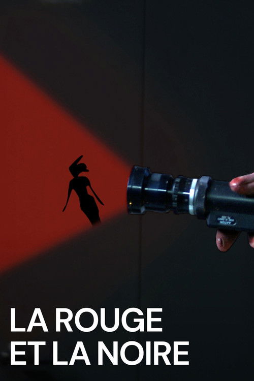 La rouge et la noire (2011) poster