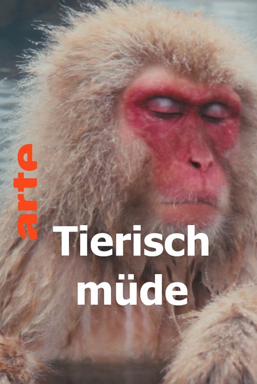 Tierisch müde - Das Rätsel Schlaf (2022) poster
