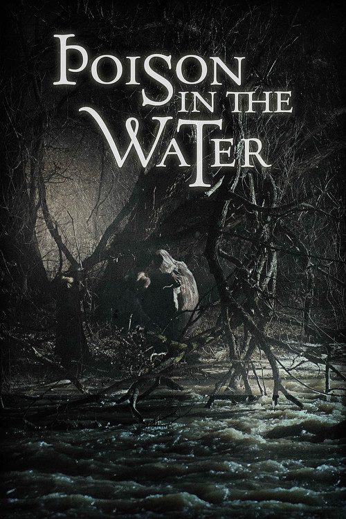 Poison in the Water (2017) poster