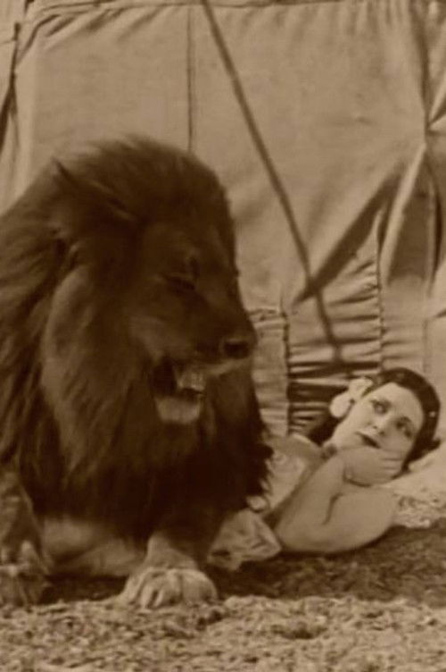 Circus Today (1926) poster