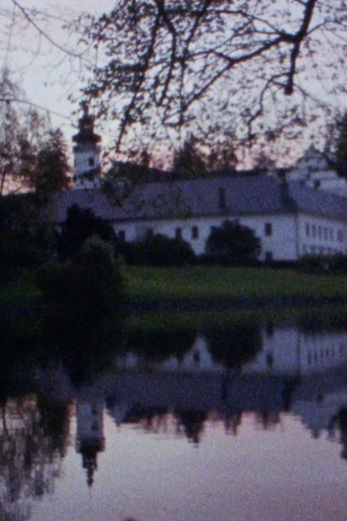 Paleni Carodejnic (2017) poster