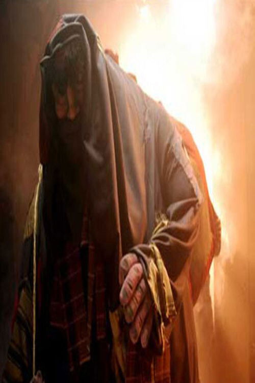 O Sete Trouxas (2008) poster